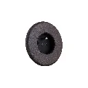 Iris bois_5.webp