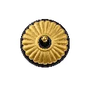 Dimbler Charlotte_4.webp