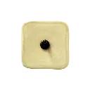 Roquette_2.webp