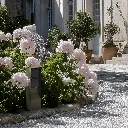 Modelec_Boja_1.webp