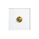 Forbes & Lomax INVISIBLE PLEXI_2.webp