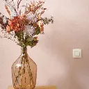 Niko ORIGINAL_2.webp