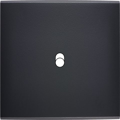 Façade Simple CONFIDENCE, Magnétique, Laiton, pour 1 Basculeur