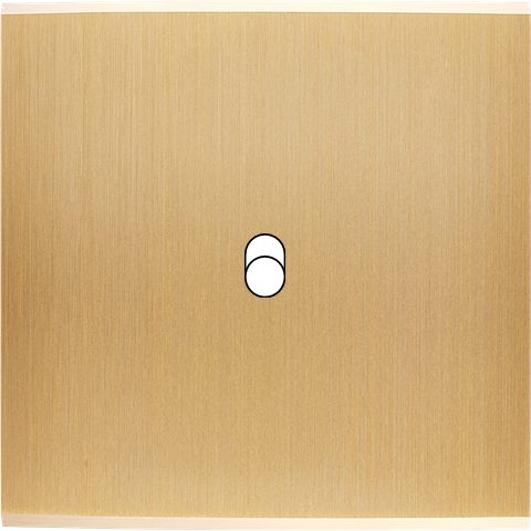 Façade Simple CONFIDENCE, Magnétique, Laiton, pour 1 Basculeur