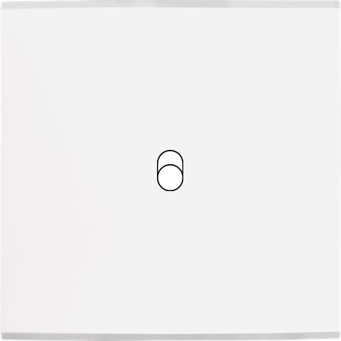 Façade Simple CONFIDENCE, Magnétique, Laiton, pour 1 Basculeur