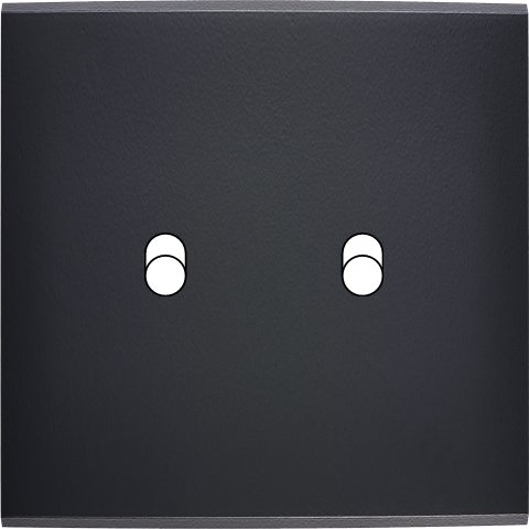 Façade Simple CONFIDENCE, Magnétique, Laiton, pour 2 Basculeurs