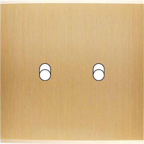 Façade Simple CONFIDENCE, Magnétique, Laiton, pour 2 Basculeurs