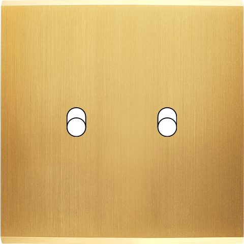 Façade Simple CONFIDENCE, Magnétique, Laiton, pour 2 Basculeurs