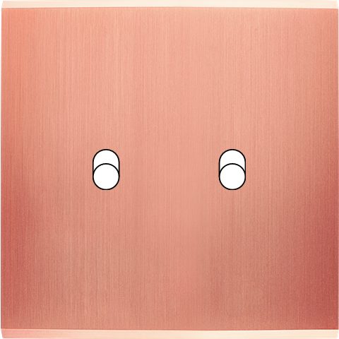 Façade Simple CONFIDENCE, Magnétique, Laiton, pour 2 Basculeurs