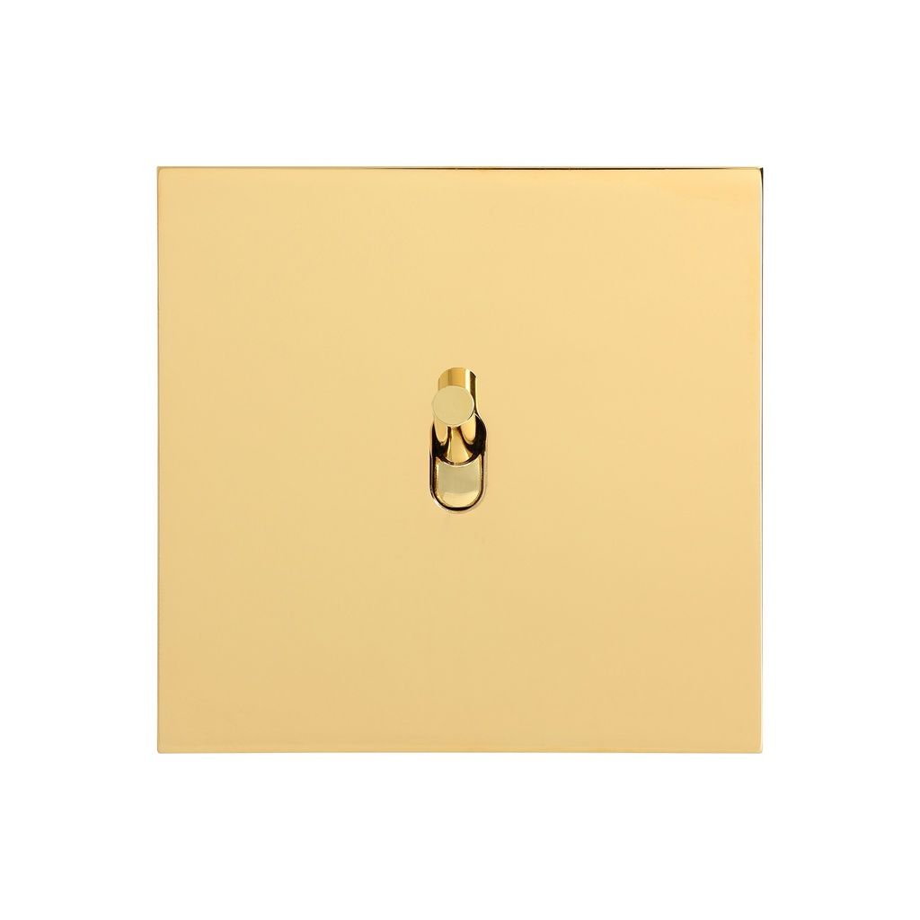 Interrupteur ART EPURE Bouton Poussoir (BP) levier, 1 Poste