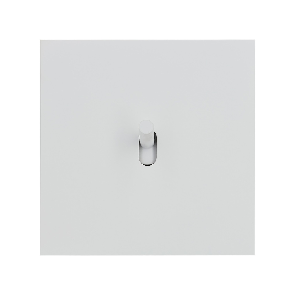 Interrupteur ART EPURE Bouton Poussoir (BP) levier, 1 Poste