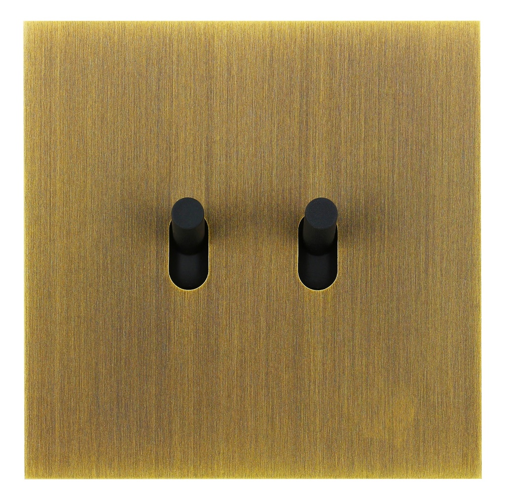 Interrupteur ART EPURE Double Va-et-Vient (VV) ou Interrupteur, 1 Poste