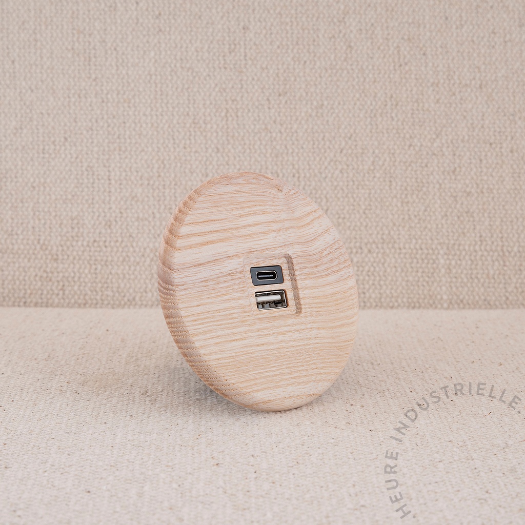 Appareillage complet IRIS BOIS - Chargeur Double USB AC