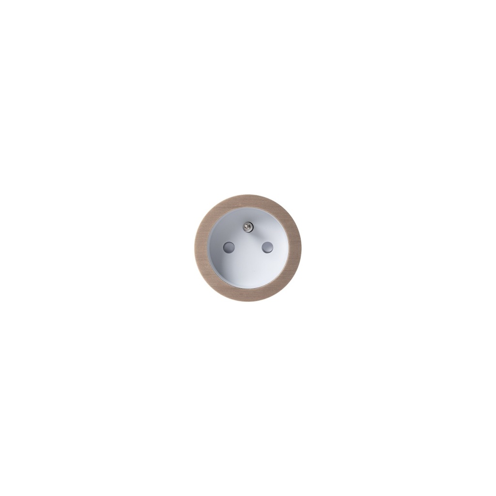 [8800-2058] Prise 2.0 - Prise de Courant 2P+T Retrofit / Easyfit / Backfit (Métal, Bronze Clair, Small Trim, Puits Blanc)