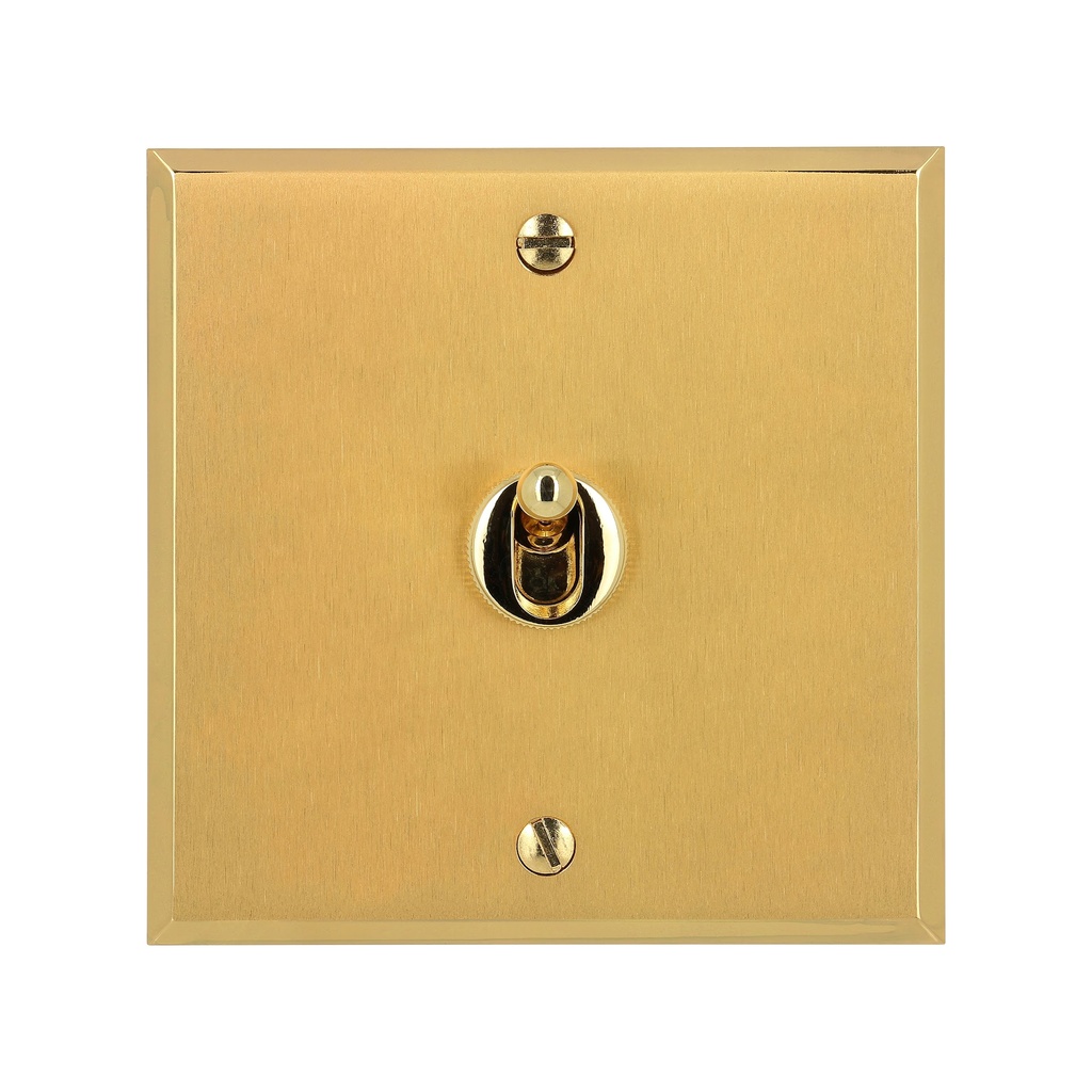 Interrupteur ART MÉMOIRE Bouton Poussoir (BP) levier, 1 Poste