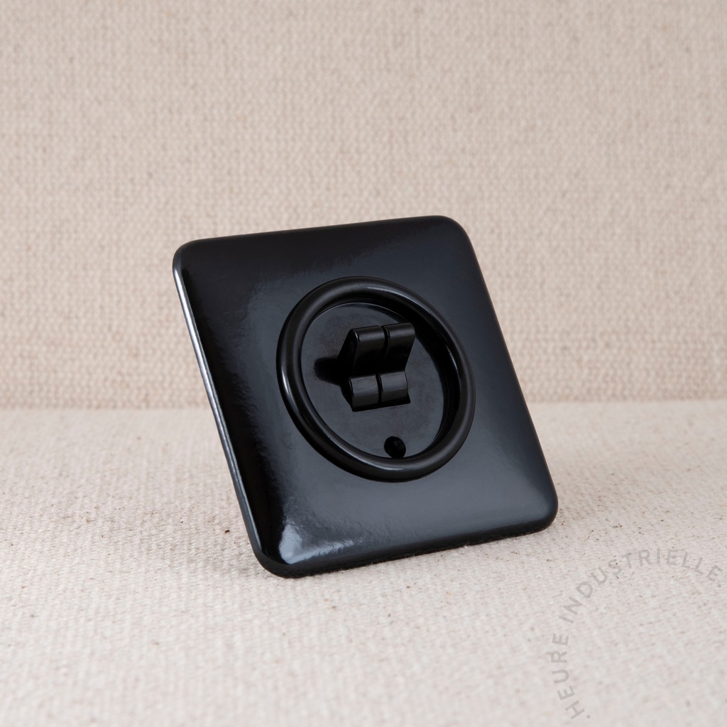 Appareillage complet BAKELITE - Interrupteur double à levier