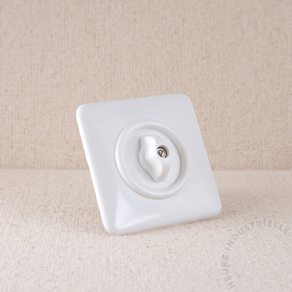 Appareillage complet DUROPLAST - 1 Interrupteur rotatif double