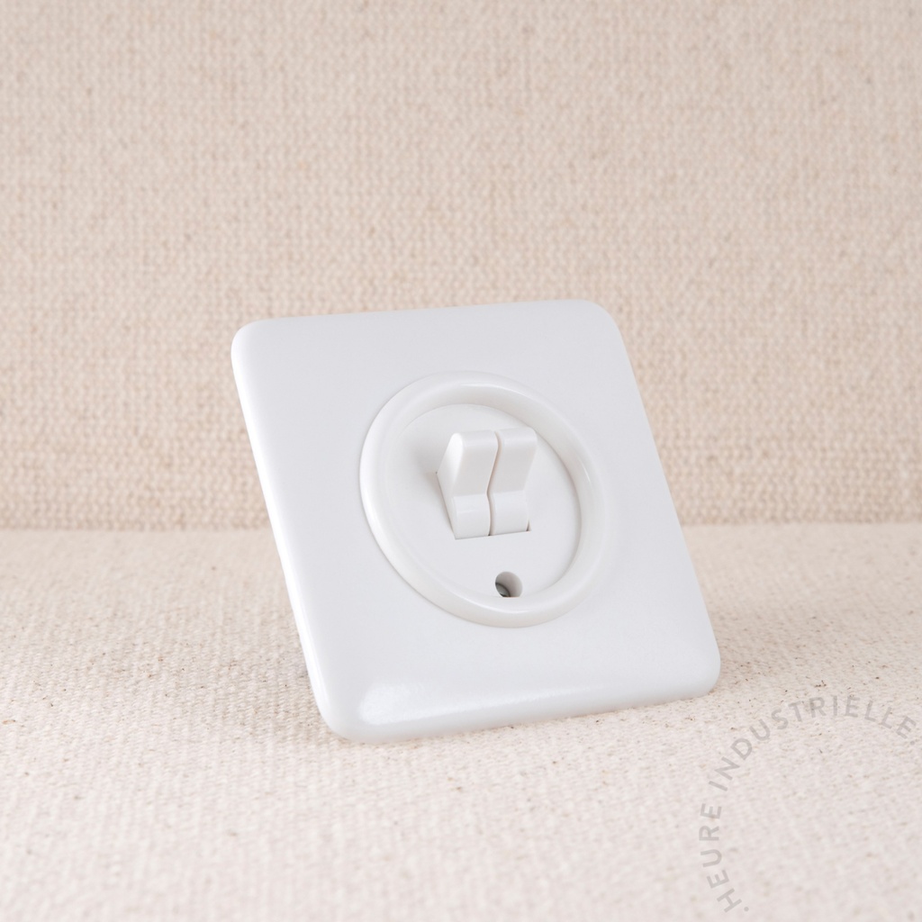 Appareillage complet DUROPLAST - Interrupteur double à levier